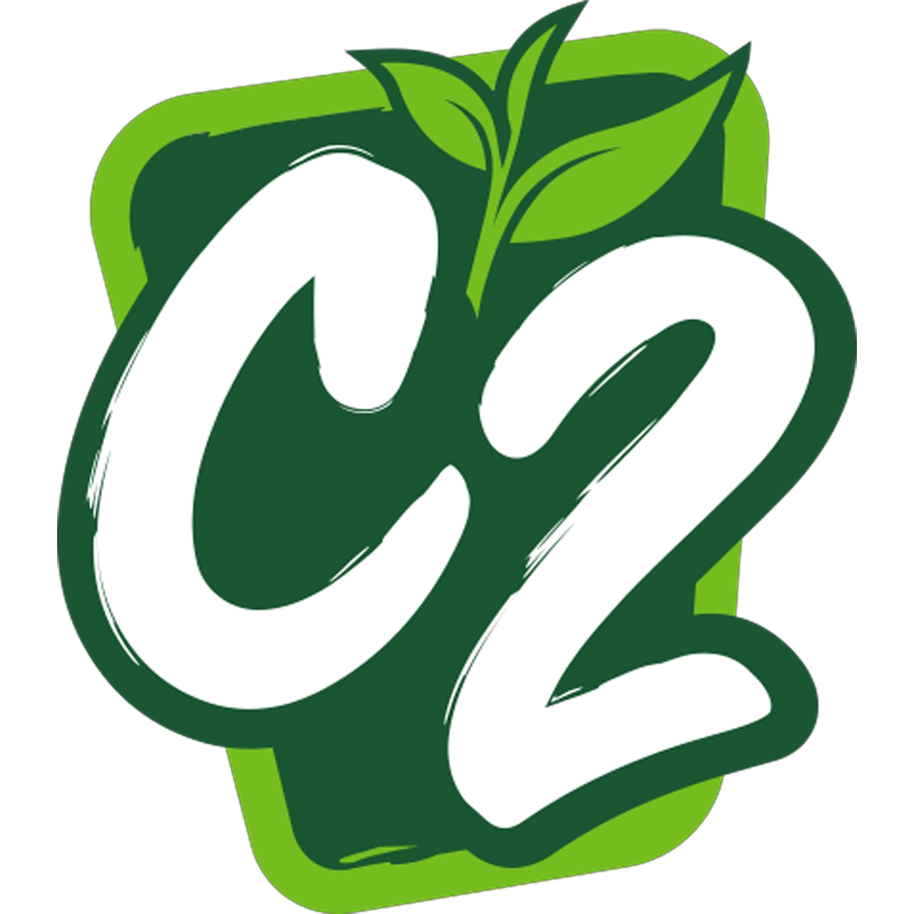 C2