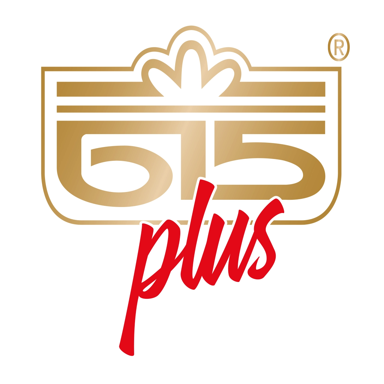 615plus